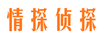 理县外遇调查取证